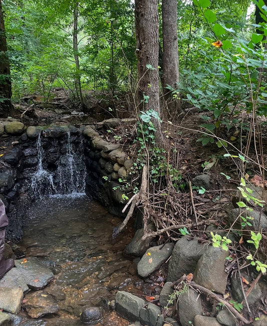 Water Quality Testing Sampling and Education