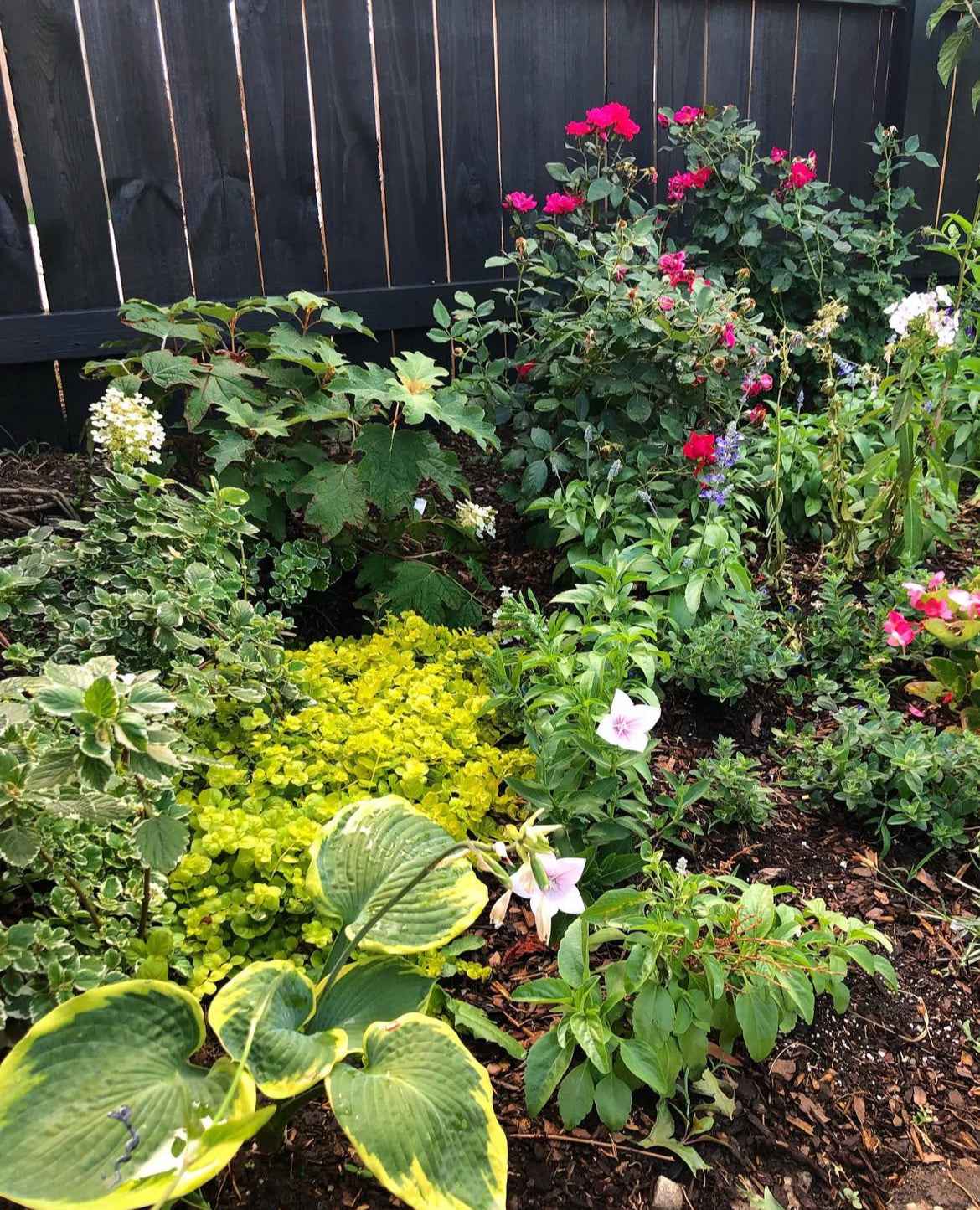 Gardening for Wildlife & Landscaping Services