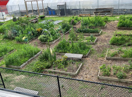 Urban Agriculture & Raised Bed Gardening