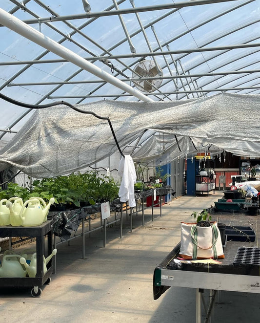 Urban Agriculture & Raised Bed Gardening
