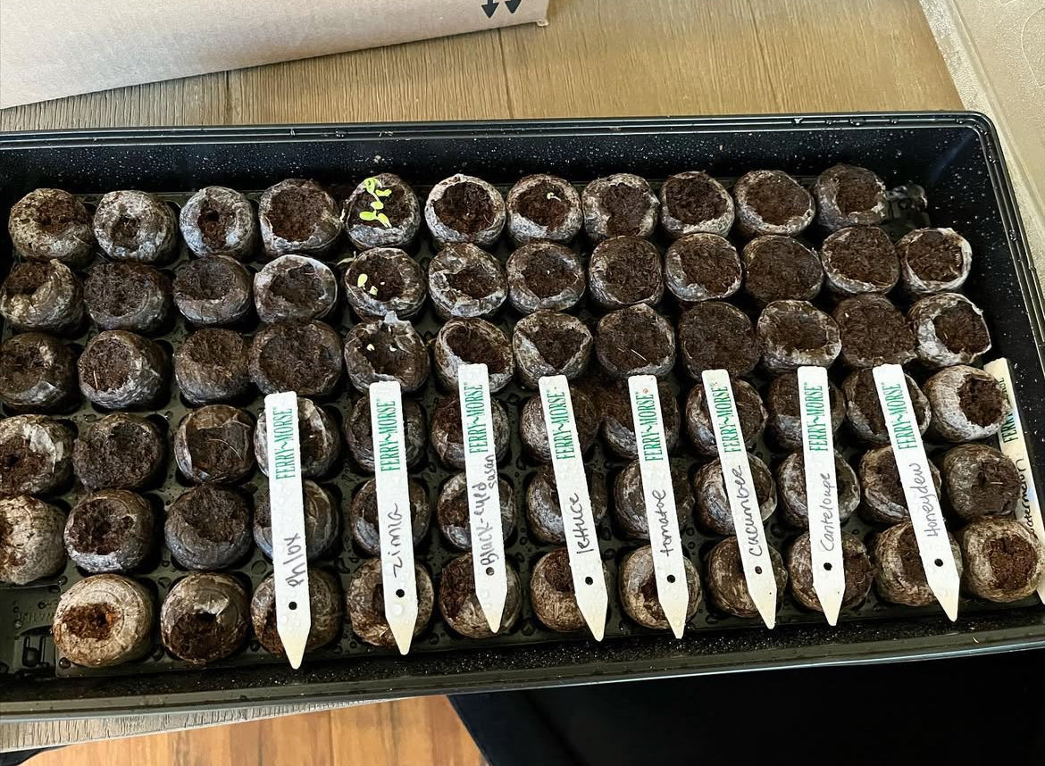 Urban Agriculture & Raised Bed Gardening