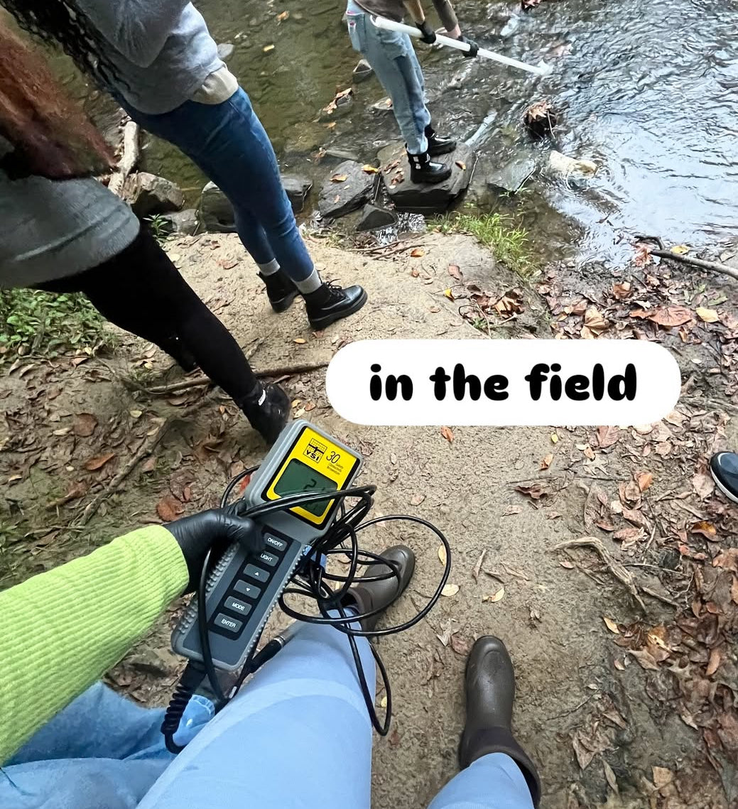 Environmental Consulting