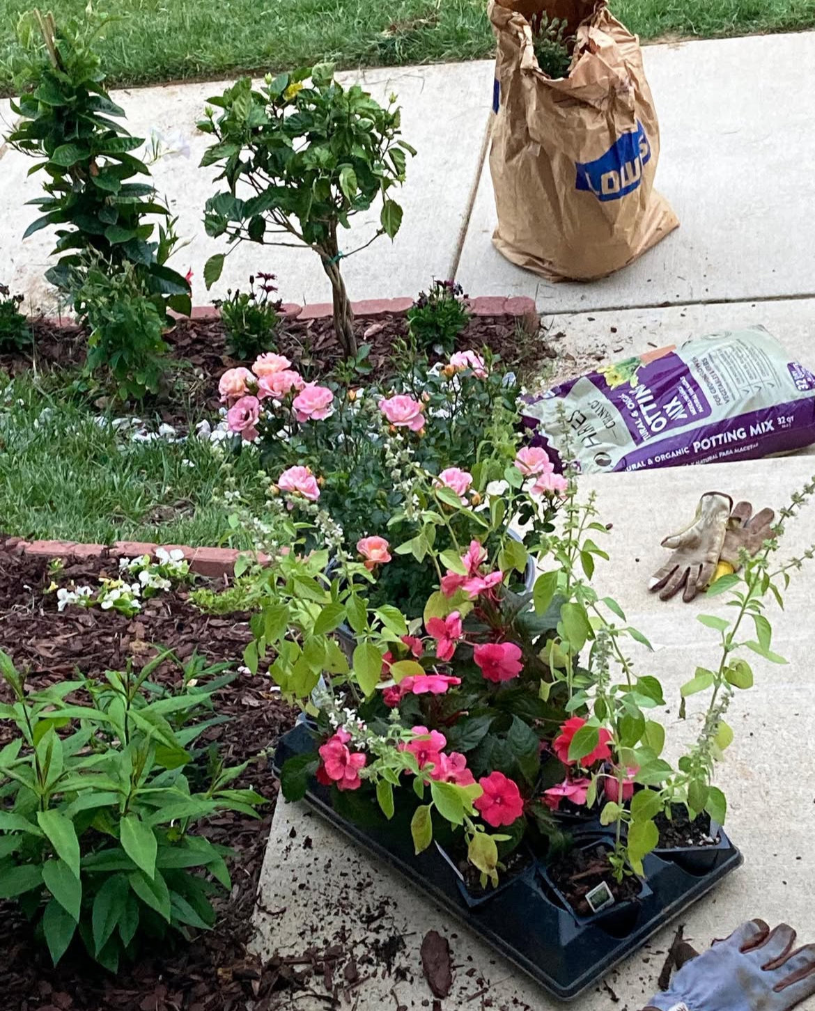 Gardening for Wildlife & Landscaping Services