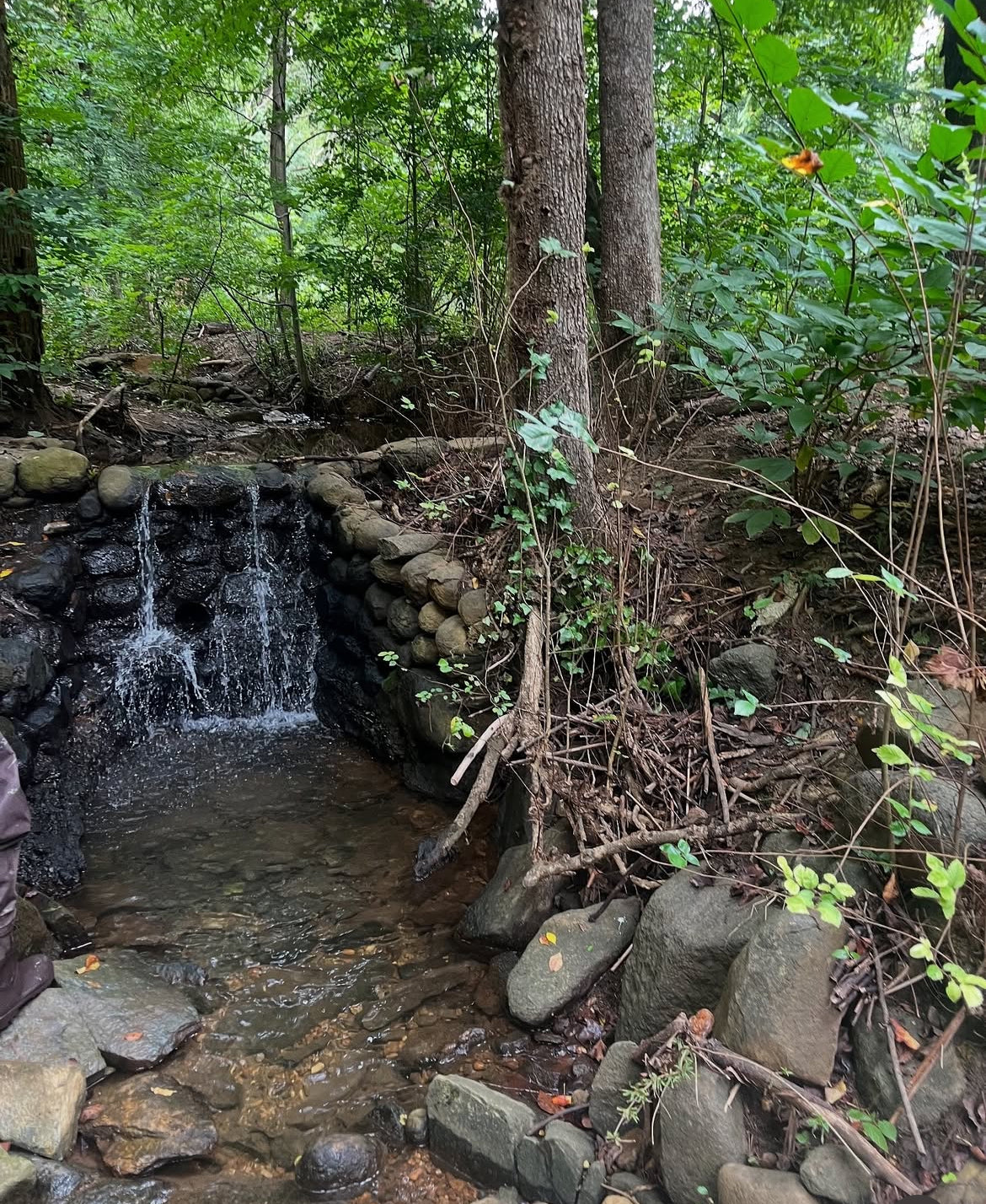 Water Quality Testing Sampling and Education