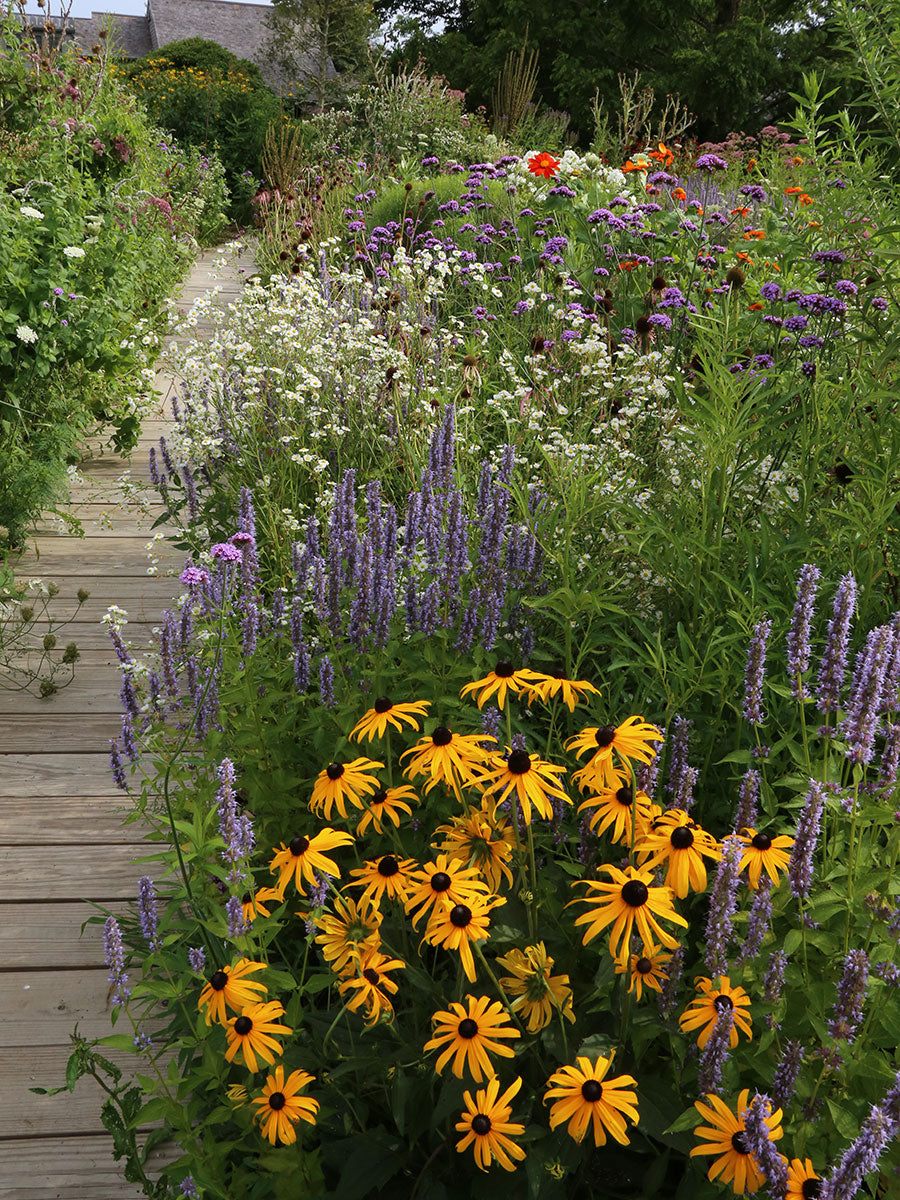Gardening for Wildlife & Landscaping Services