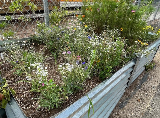 Gardening for Wildlife & Landscaping Services