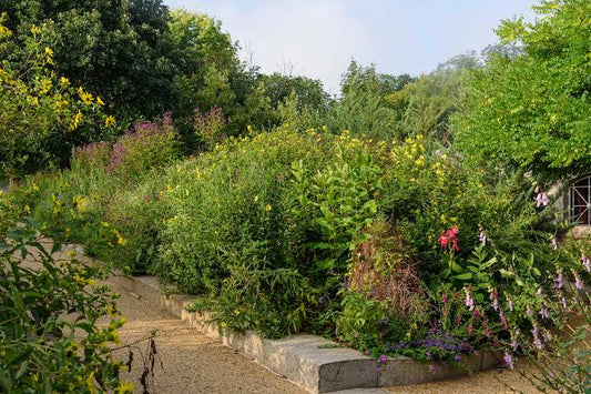 Gardening For Wildlife Consultation